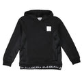 iceberg - HOODIE
