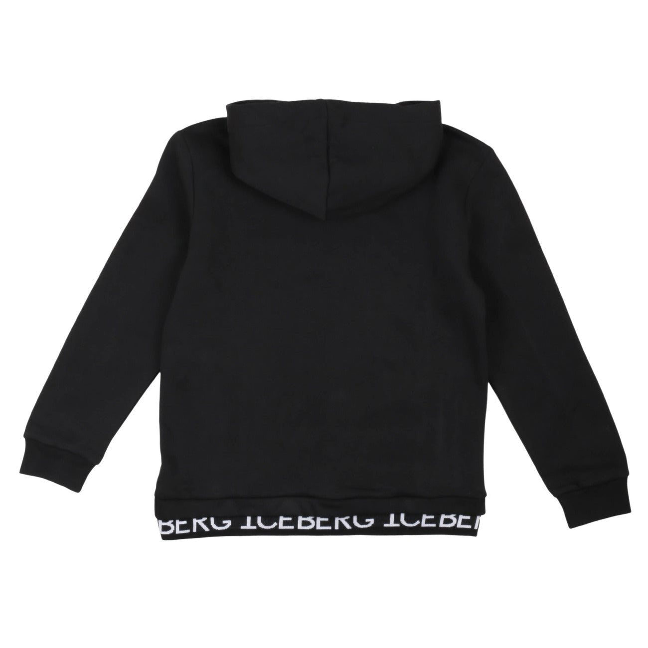 iceberg - HOODIE
